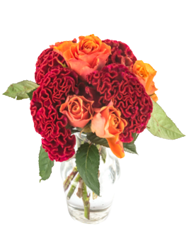 Caja con 9 rosas Multicolor Arcoiris 