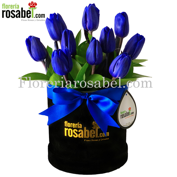 Box de 10 Tulipanes azules