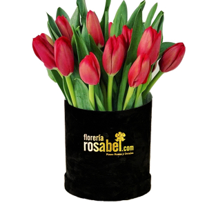 Box de 12 Tulipanes Rojos