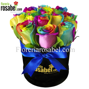 Box de Rosas Multicolor