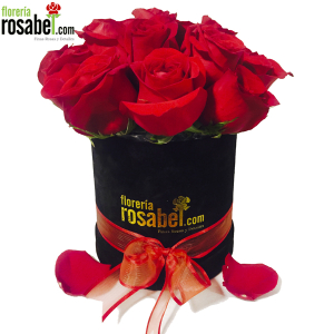 Box de Rosas Rojas