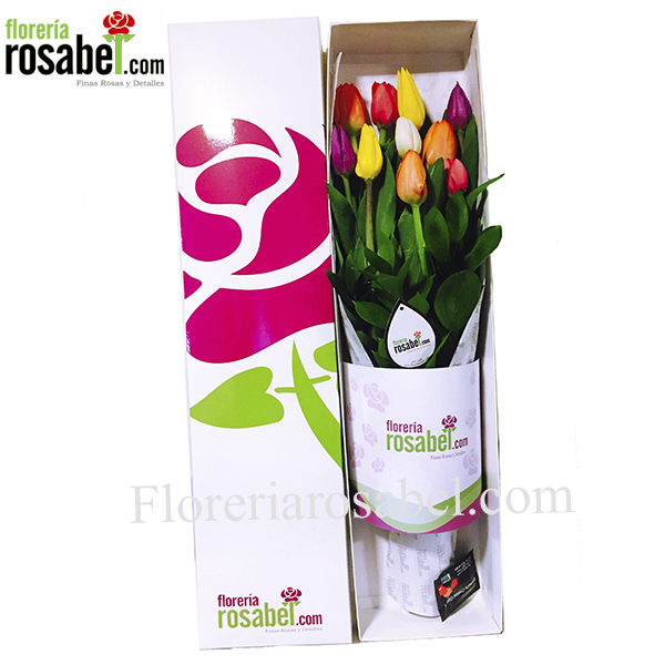Caja Colección con 10 Tulipanes de Colores