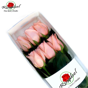 Caja con 6 Rosas Rosadas