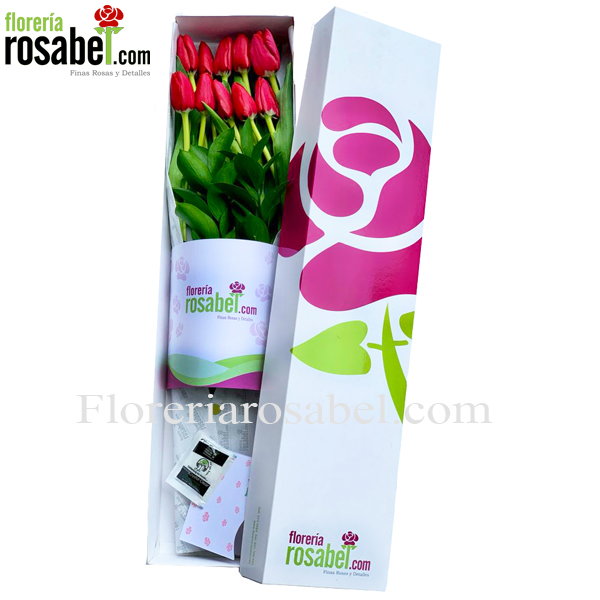 caja de 10 tulipanes rojos