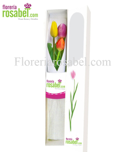 Caja de 3 tulipanes de colores