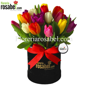 Caja Negra con 20 Tulipanes de Colores