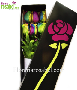Caja Negra con 6 rosas multicolor