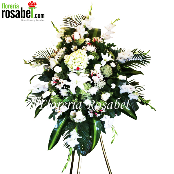 Tripode Especial 2